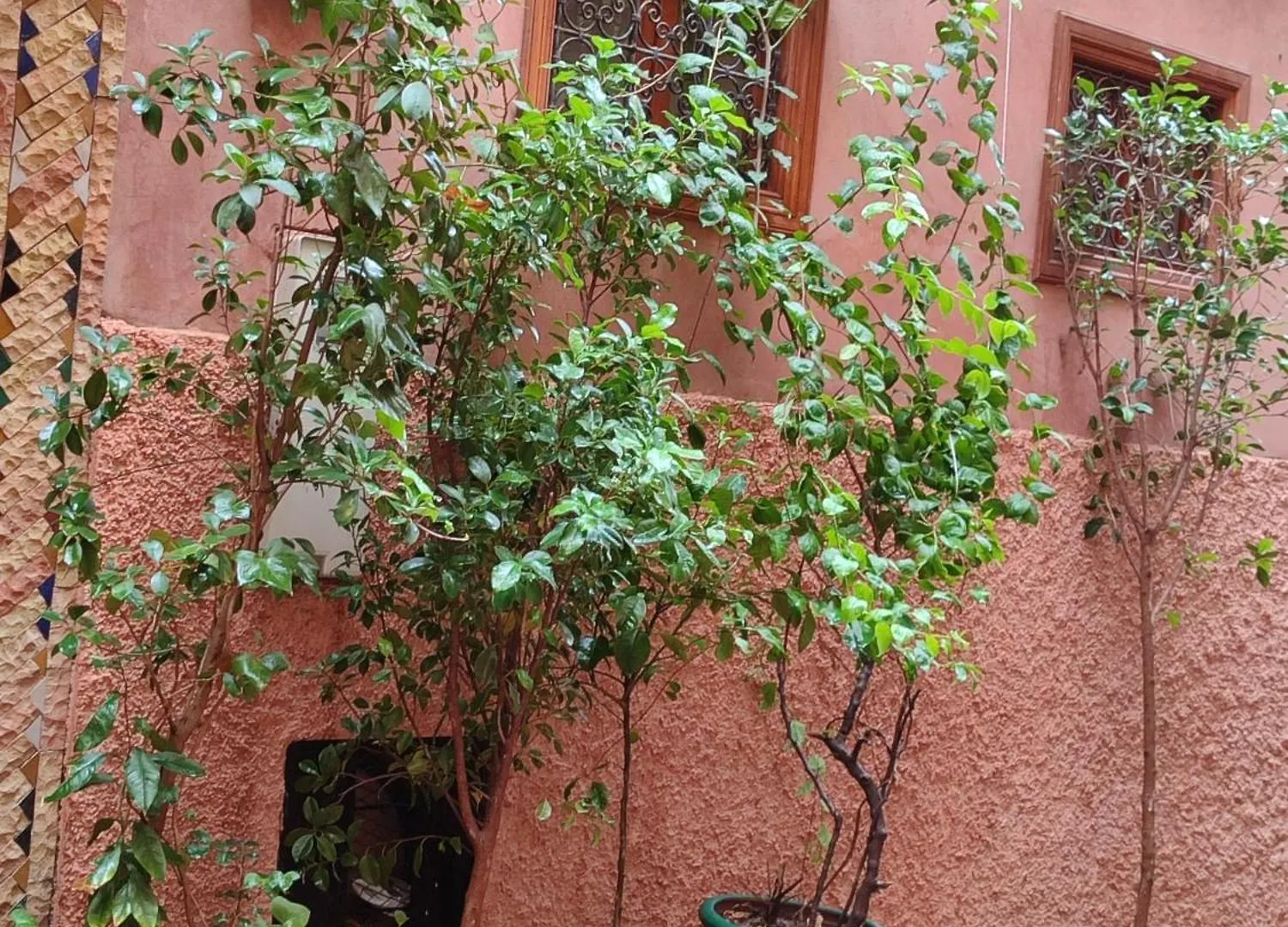 Riad Zahri Marrakesh